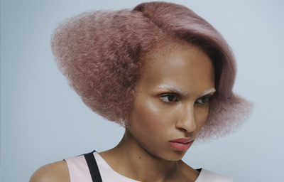 Mazella DovePalmer